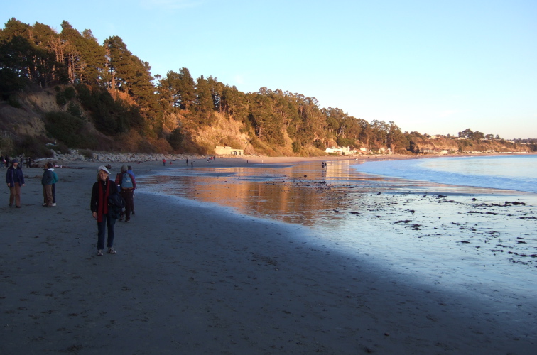 Walking along New Brighton State Beach near sunset.