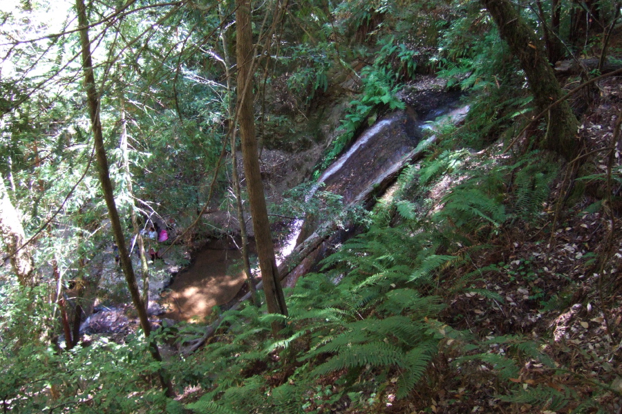 First view of Golden Cascade