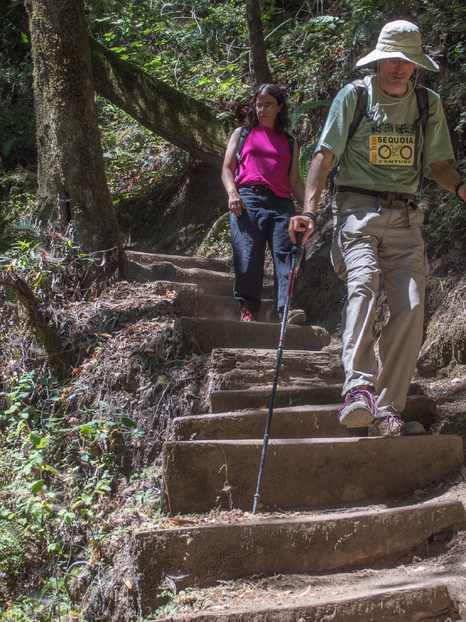 Descending the stairs next to Golden Cascade