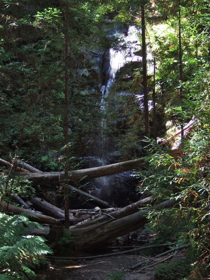Silver Falls from below