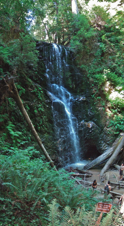 Berry Creek Falls