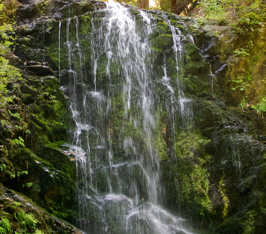 Moss underneath Berry Creek Falls