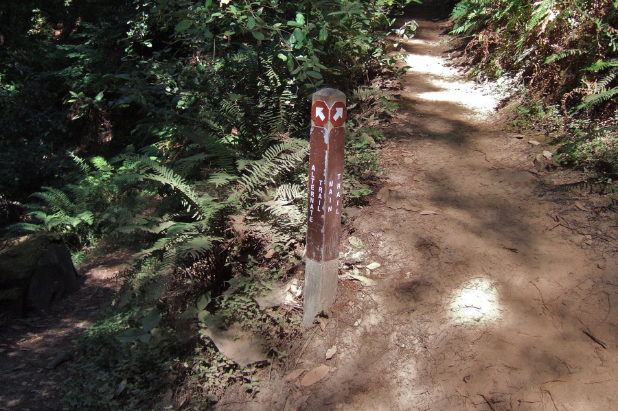 We took the Alternate Trail.