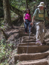Descending the stairs next to Golden Cascade