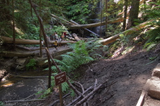 A large group explores the fragile area at the base of Silver Falls.