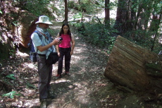 Frank adjusts his camera to photograph the end of a cut tree.