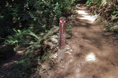 We took the Alternate Trail.