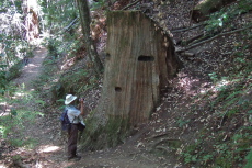 Frank stands before the Face Stump.