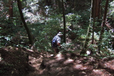Frank descends to Berry Creek (east fork).