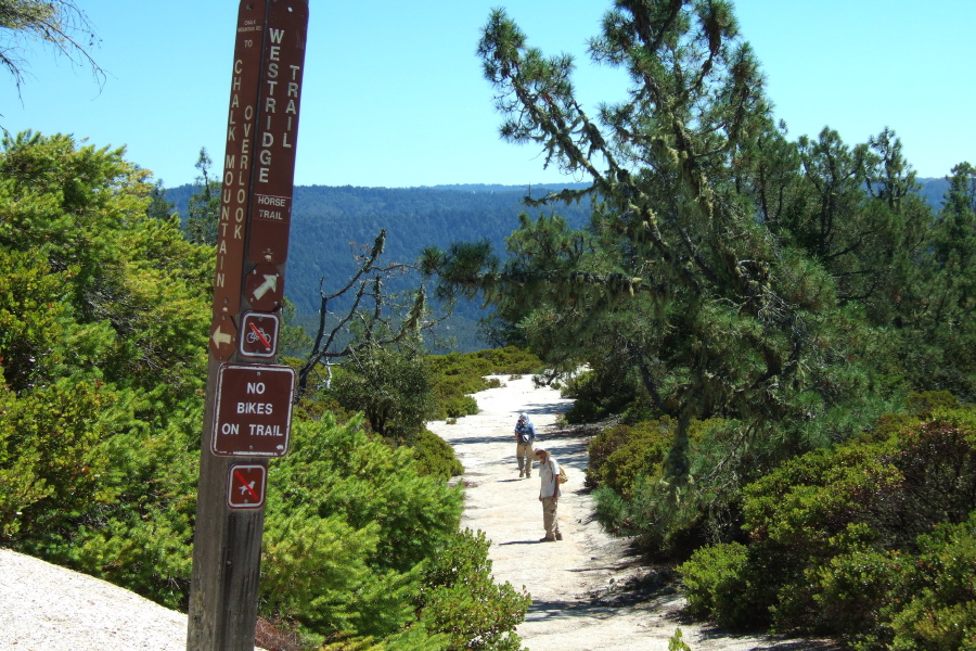 We begin down Westridge Trail from Chalk Mountain.