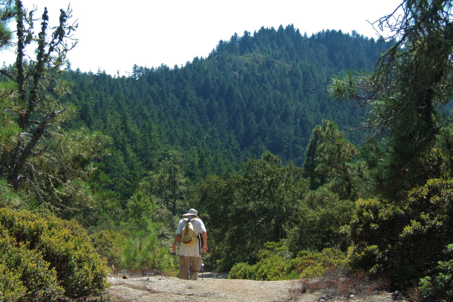 Descending a steep section while hoping the trail off the ridge comes before we have to climb the high point in the distance