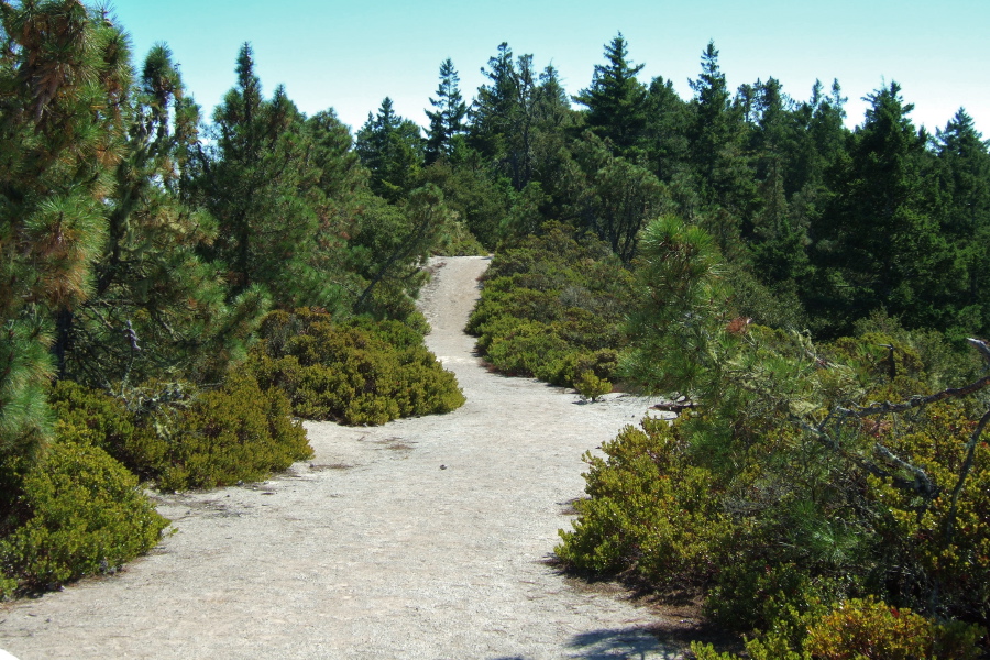 Westridge Trail continues on as a use trail for some distance.
