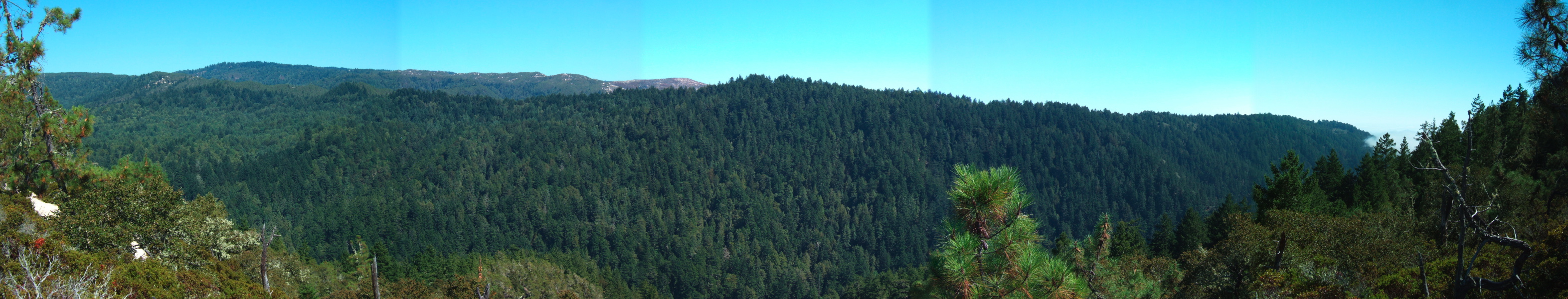 Clark Connection Panorama