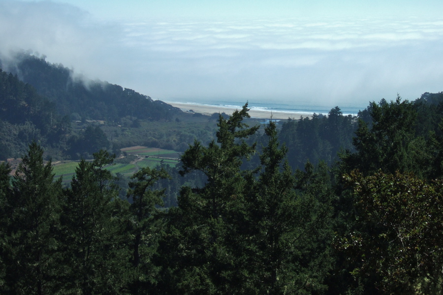 Waddell State Beach from Clark Connection Trail.
