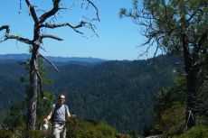 Bill stands beneath a snag near the top of Westridge Trail.
