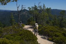 David photographs Bill beneath the old snag on Westridge Trail.