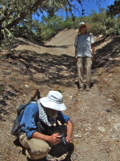 Frank photographs a pine cone while David waits.