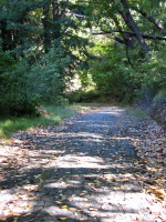 North Escape Rd., Big Basin (1420ft)