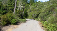North Escape Rd., Big Basin (1310ft)