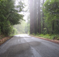 Climbing CA236 (1420ft)