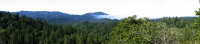 Big Basin Panorama 1 (1660ft)