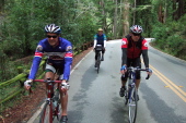 Mark, Jerome, and Glen ride through Big Basin Redwoods State Park.