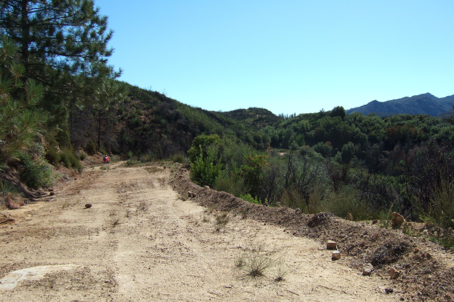 Ron follows along on Indians Rd.