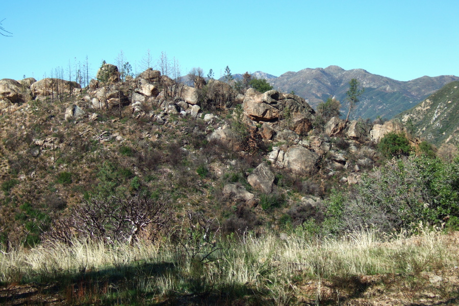Ventana Cones from Indians Rd.