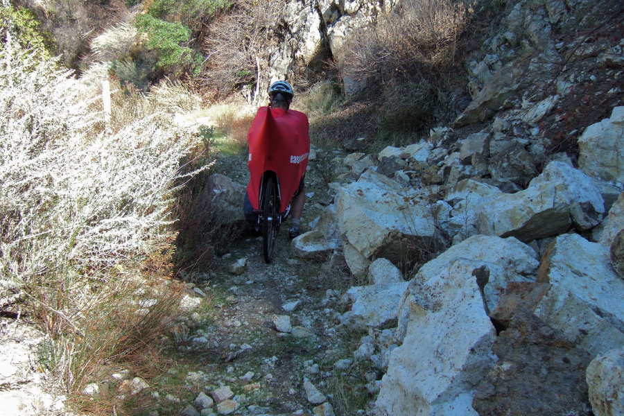 Ron draised past this one.