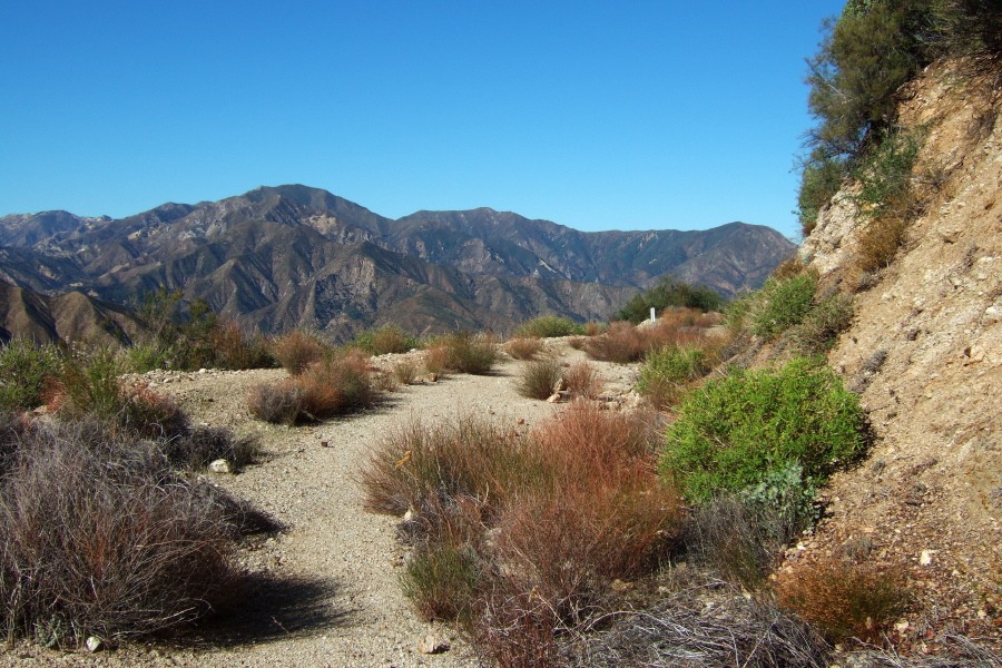 Black Butte (4941ft)