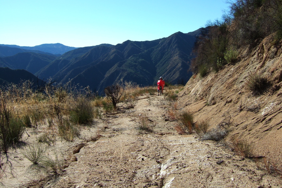 Ron heads down the rutted, overgrown Indians Rd.