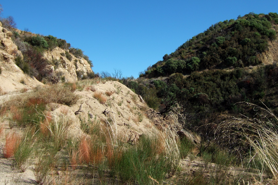 Looking back up to the gap in the ridge at 2500ft.