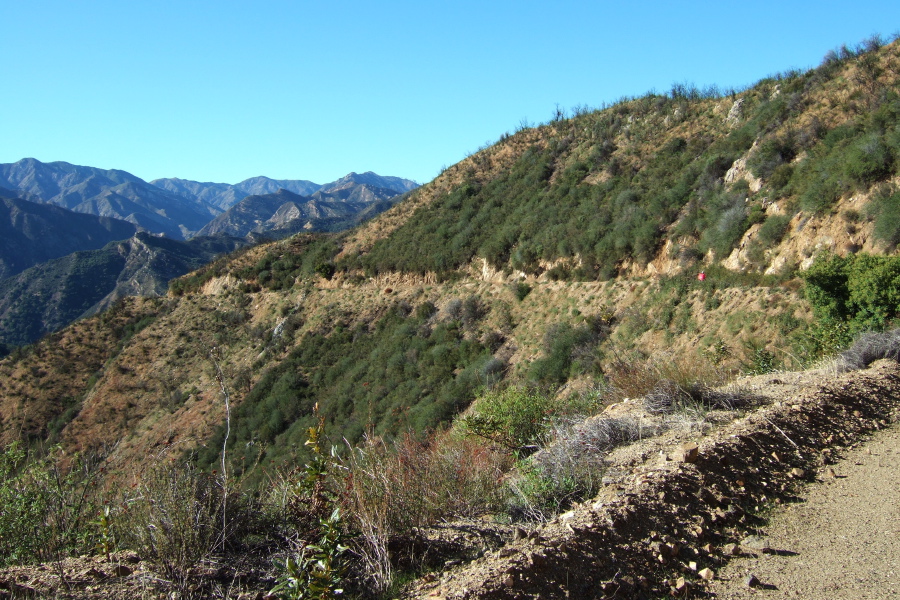 Ron heads down Indians Rd.