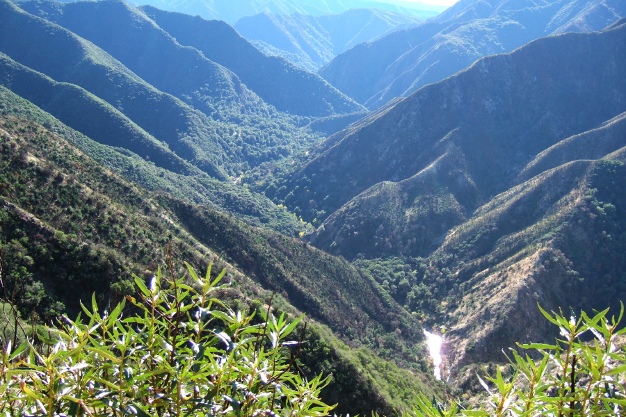 View down into Arroyo Seco canyon.
