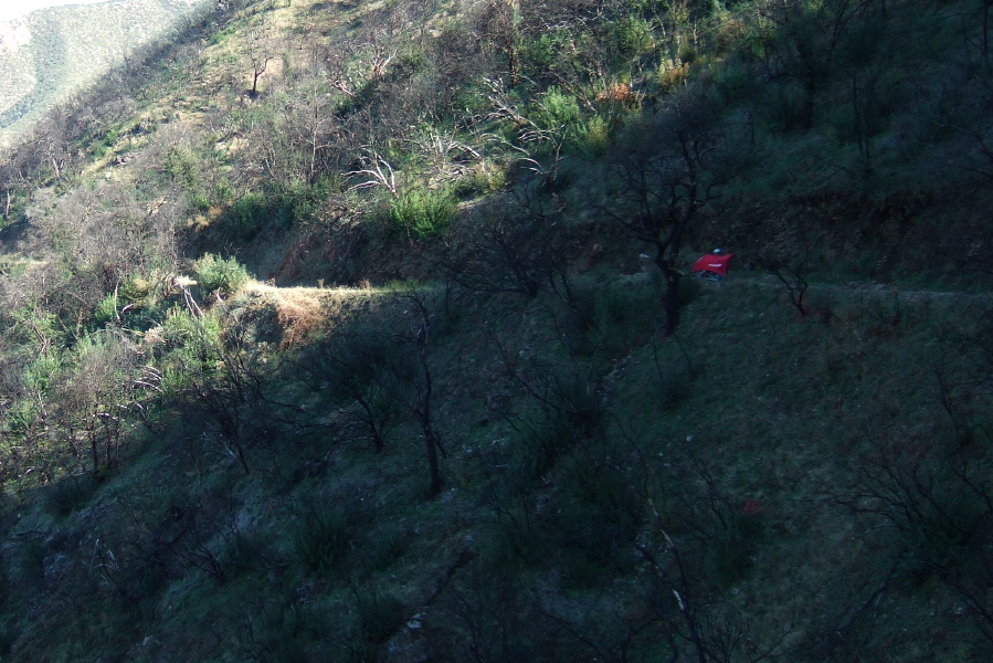 Ron heads down Indians Rd. on the shady side of the ridge.