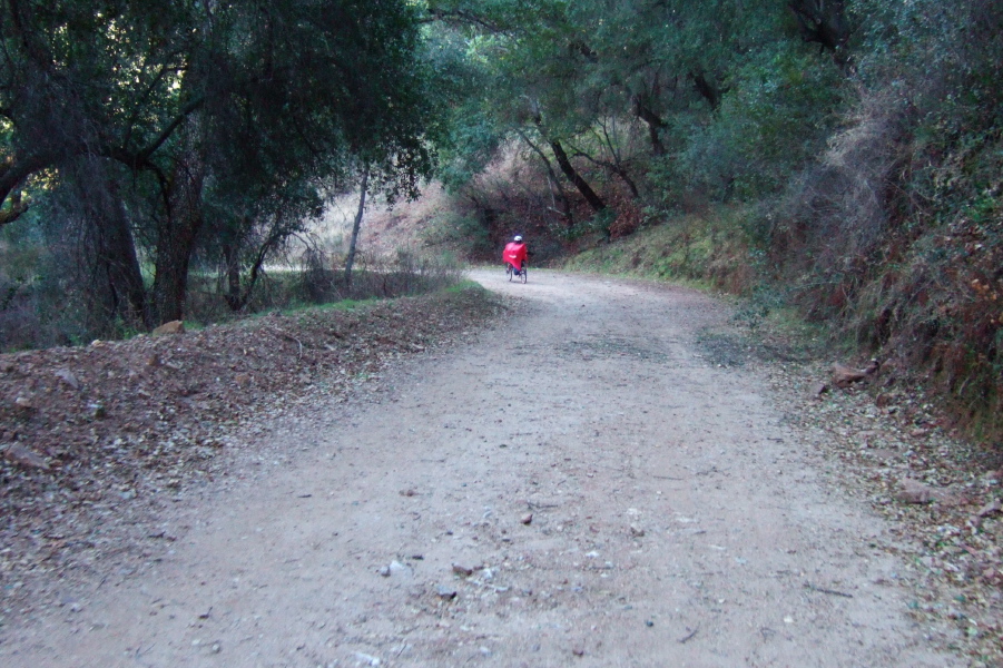 Passing through a wooded section near the end.
