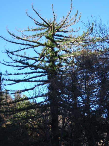 Life springs eternal.