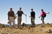 Group photo: (l to r): David, Bill, Steve, and Stella