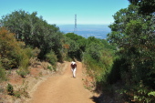 David starts up the steep, hot section of trail.