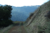 Skyline Ridge from Waterwheel Creek Trail
