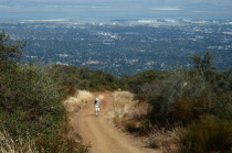 David climbs the upper reach of Black Mountain Trail.