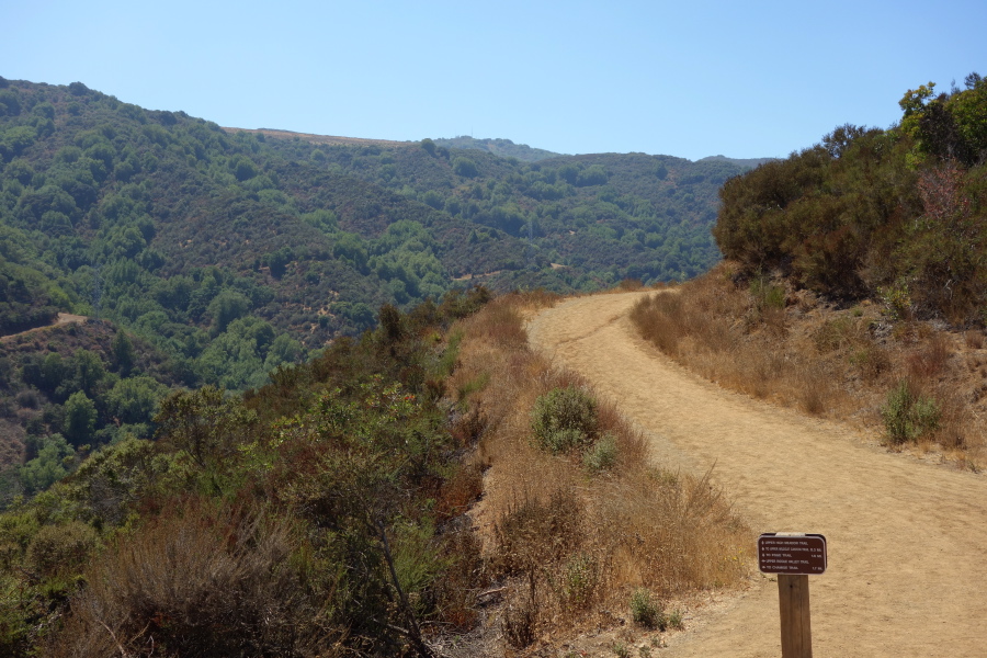 View back toward the summit of Black Mountain from the High Meadow Trail
