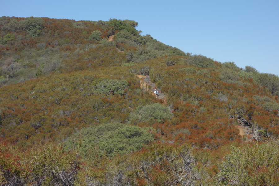 Frank climbs a steep section of the Quarry Trail.