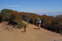 Frank waits for me at the top of the Quarry Trail.