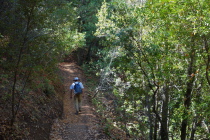 Frank marches up the Quarry Trail.