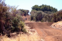 Alice and Stella climbing the steep whoop-de-doos on the trail.