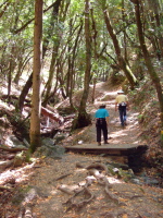Stella and Frank march up the Adobe Creek Trail.