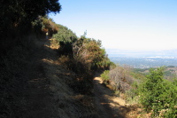 Switchback on the Black Mountain Trail (1500ft)