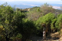 David descends the Black Mountain Trail; false summit in the background (2660ft)