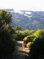 David descends the Black Mountain Trail (2620 ft)